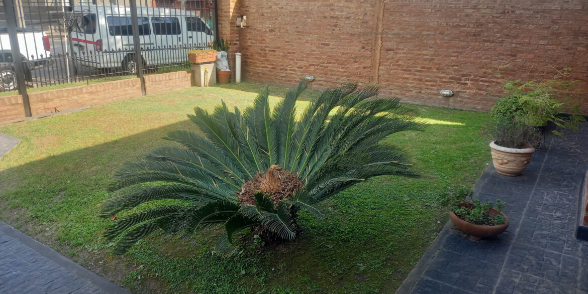 4_resultado